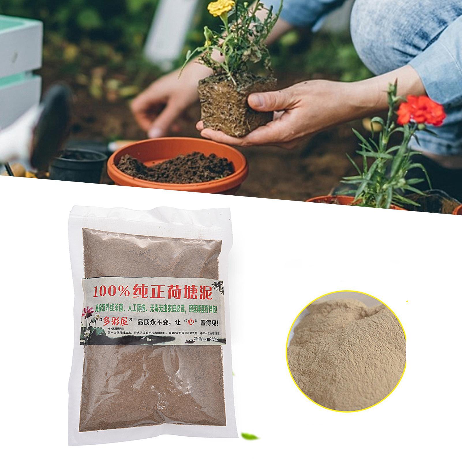Bonsai Soil Akadama - 200g Natural Lotus Pond Mud Garden