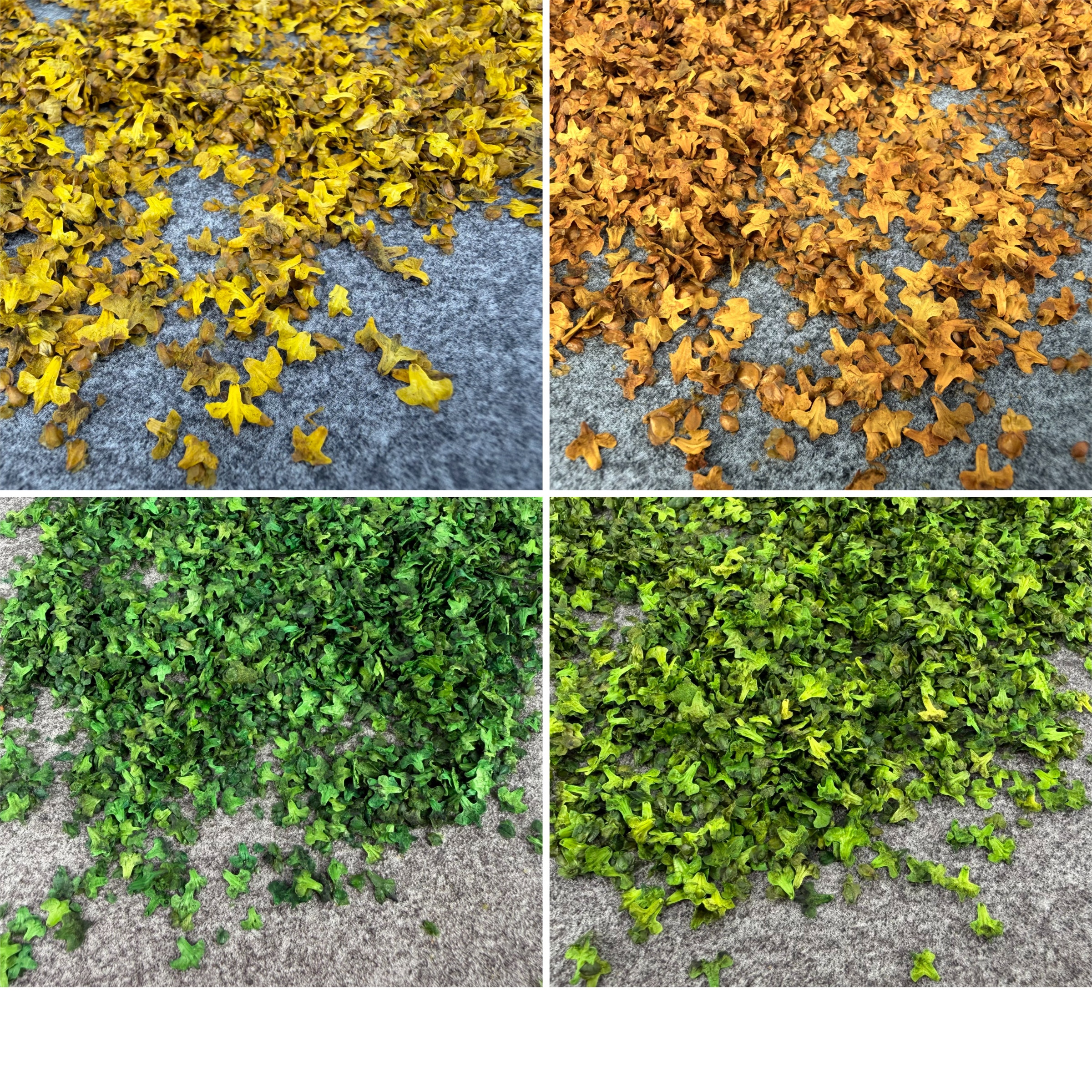 33ML Miniature Simulation Fall - Bonsai Garden Layout review and price