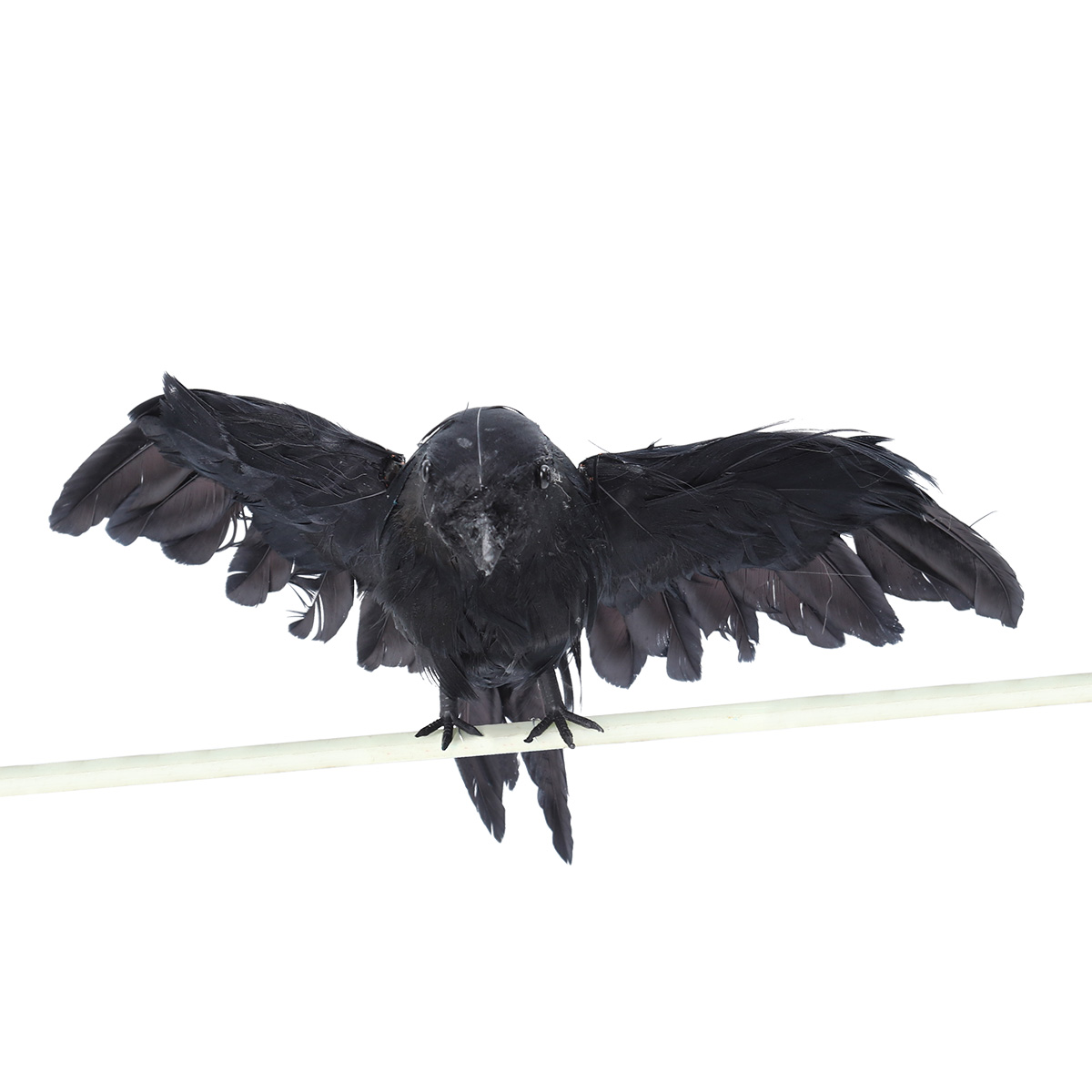 1 pc Artificial Crow Props Bla - Bonsai Garden Indoor review and price
