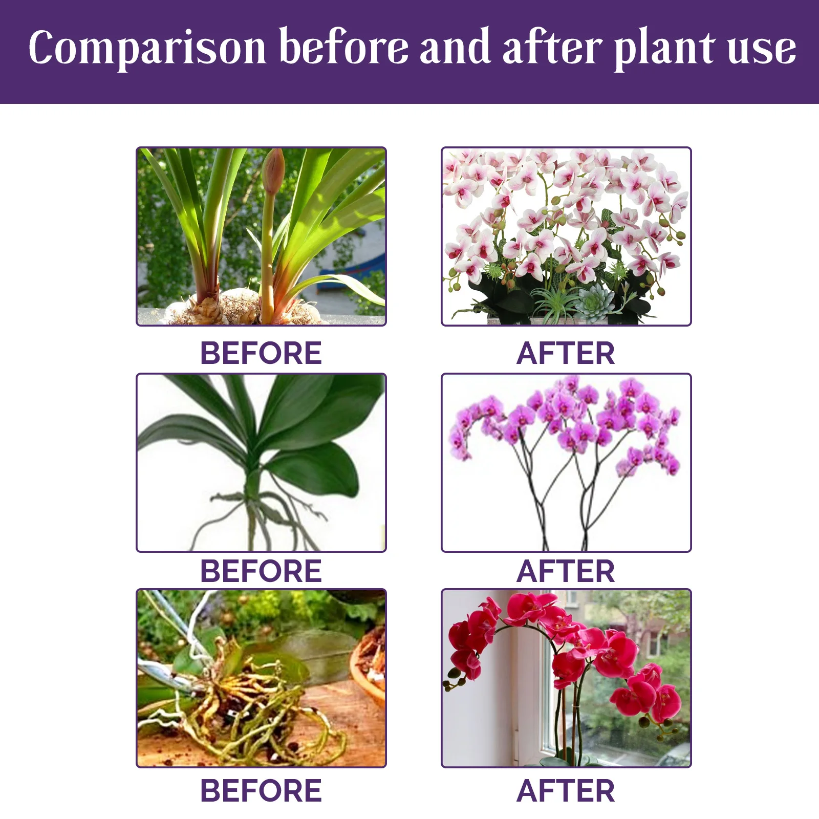 50ml Orchid Special Liquid Flo - Bonsai Soil Akadama review and price