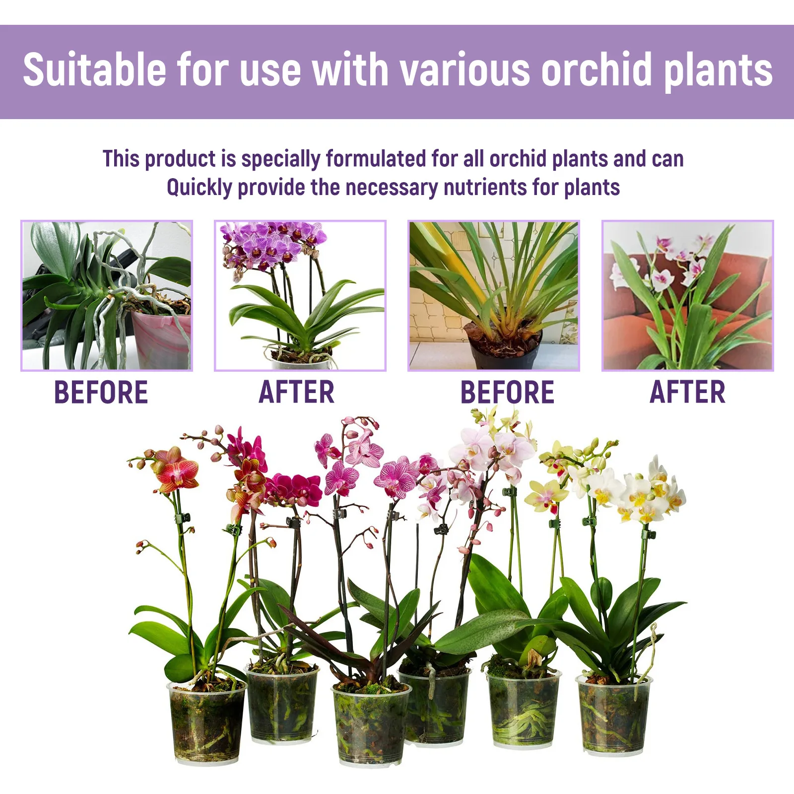 50ml Orchid Special Liquid Flo - Bonsai Soil Akadama review and price