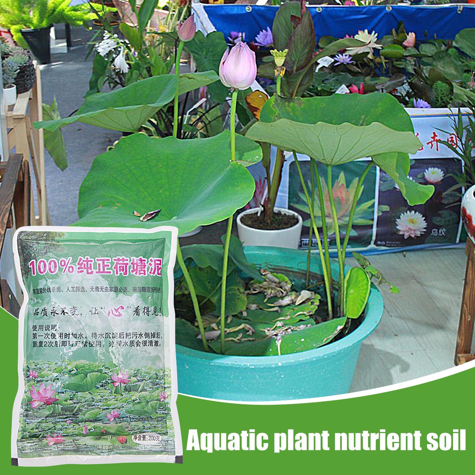 200g Natural Lotus Pond Mud Ga - Bonsai Soil Akadama review and price
