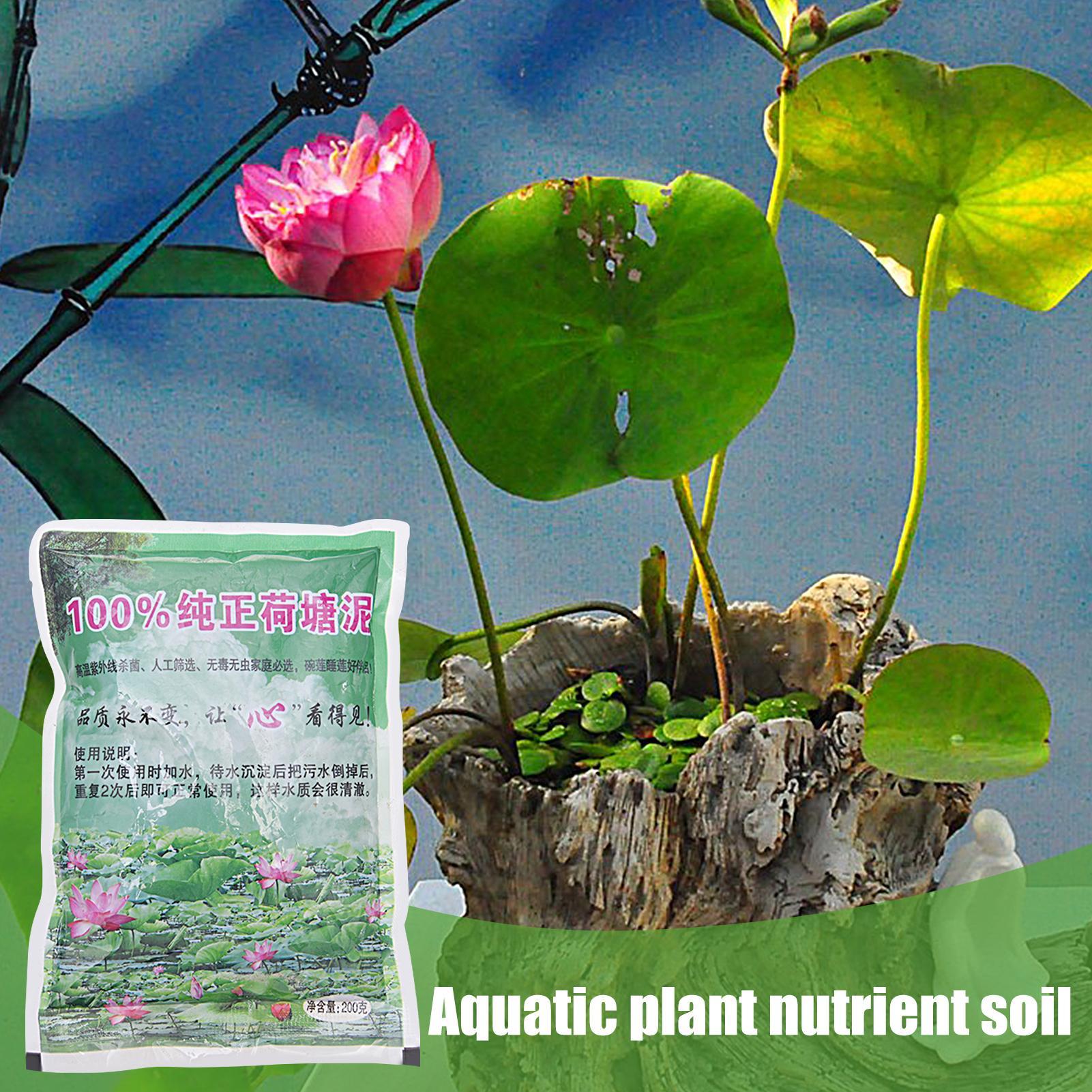 200g Natural Lotus Pond Mud Ga - Bonsai Soil Akadama review and price