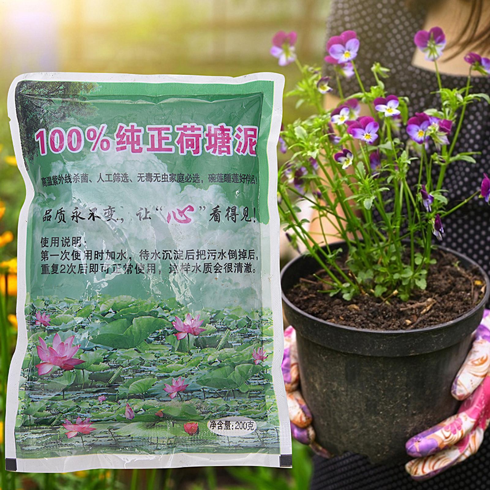 200g Natural Lotus Pond Mud Ga - Bonsai Soil Akadama review and price