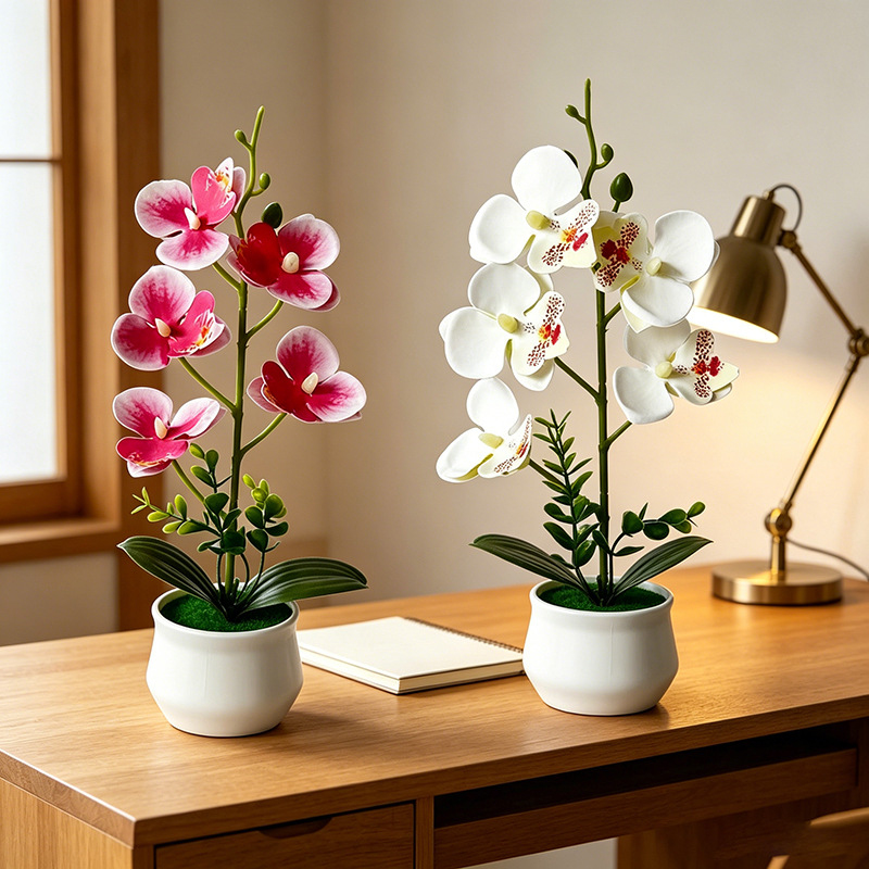 5 Flower Butterfly Orchid Simu - Bonsai Garden Layout review and price