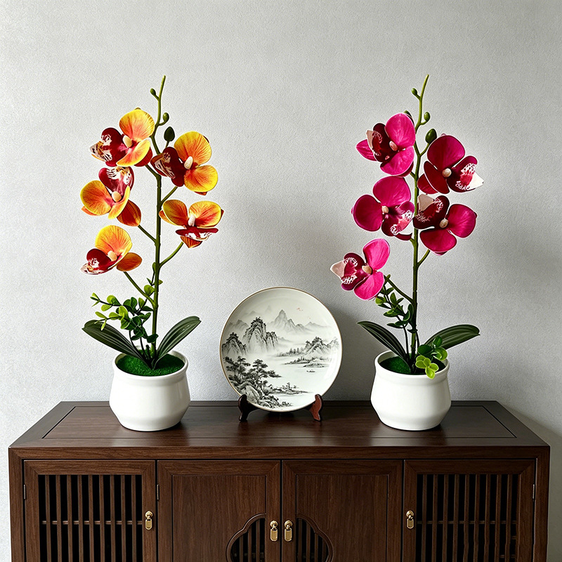 5 Flower Butterfly Orchid Simu - Bonsai Garden Layout review and price