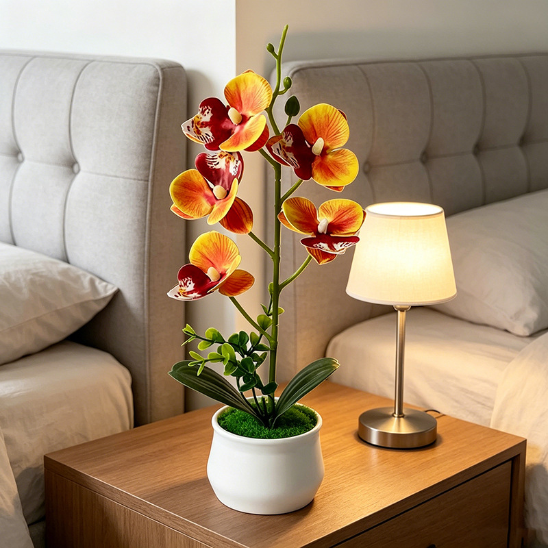 5 Flower Butterfly Orchid Simu - Bonsai Garden Layout review and price