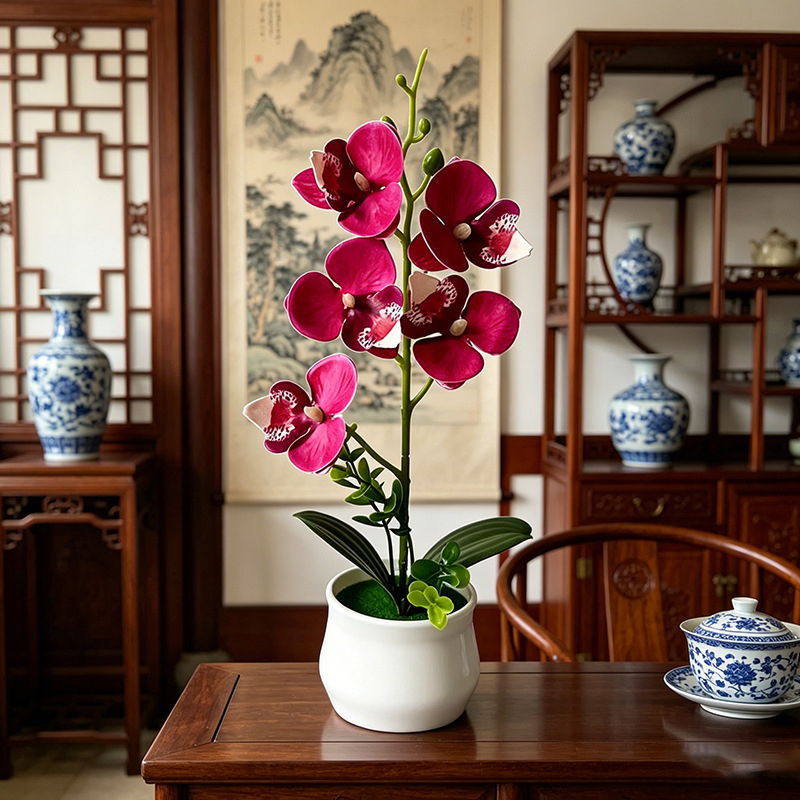 5 Flower Butterfly Orchid Simu - Bonsai Garden Layout review and price