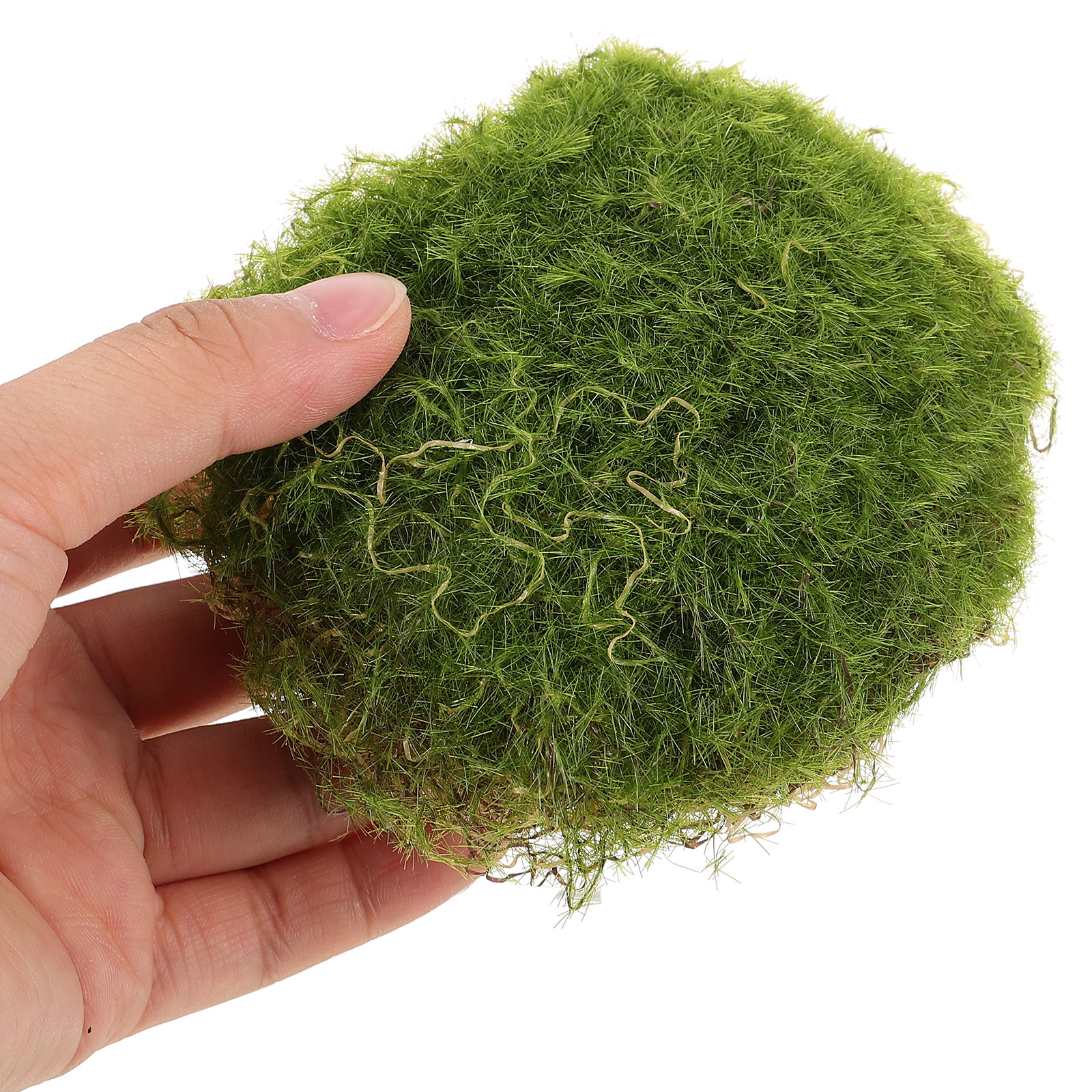 6Pcs Premium Artificial Moss R - Bonsai Garden Layout review and price