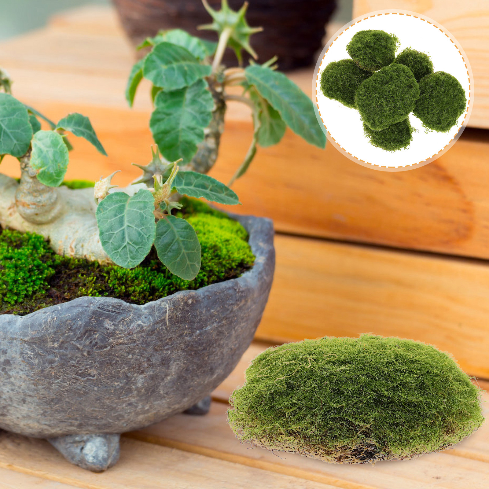6Pcs Premium Artificial Moss R - Bonsai Garden Layout review and price