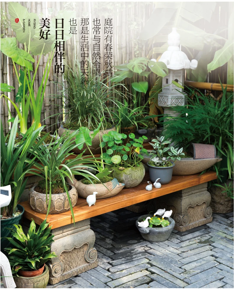 Terrace Garden Layout, Teak Ch - Bonsai Garden Layout review and price