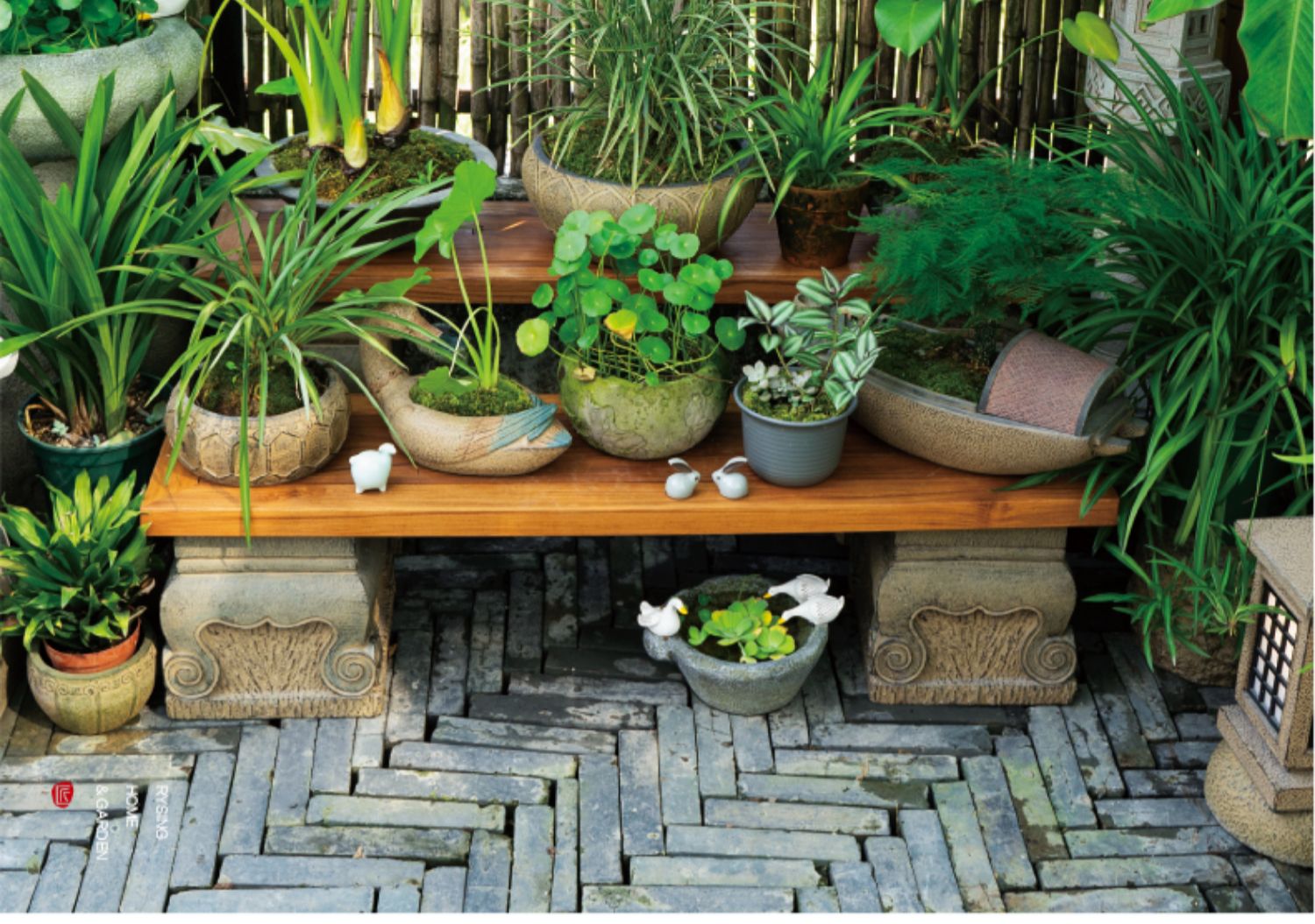 Terrace Garden Layout, Teak Ch - Bonsai Garden Layout review and price