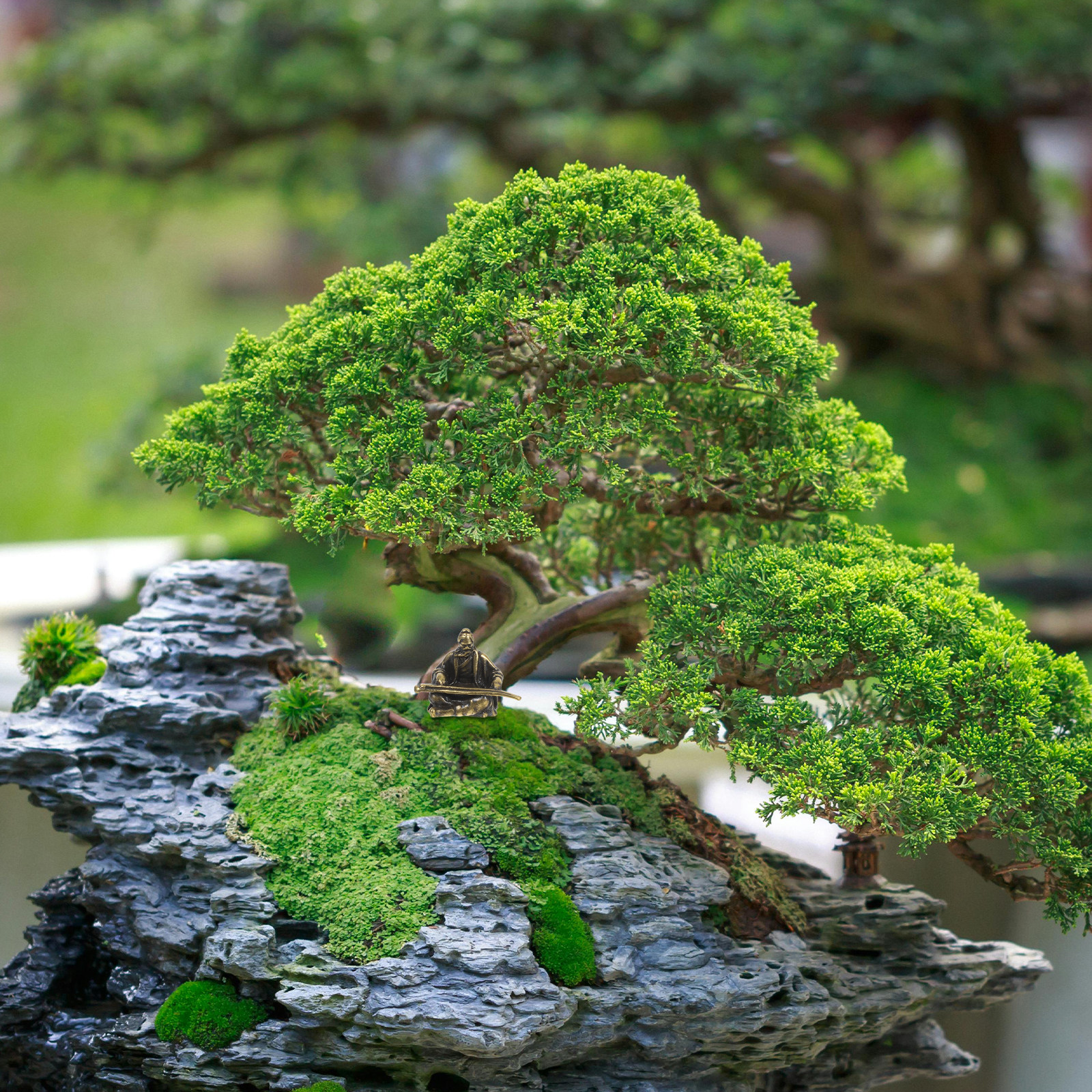 Copper Micro Landscape Ancient - Bonsai Garden Layout review and price