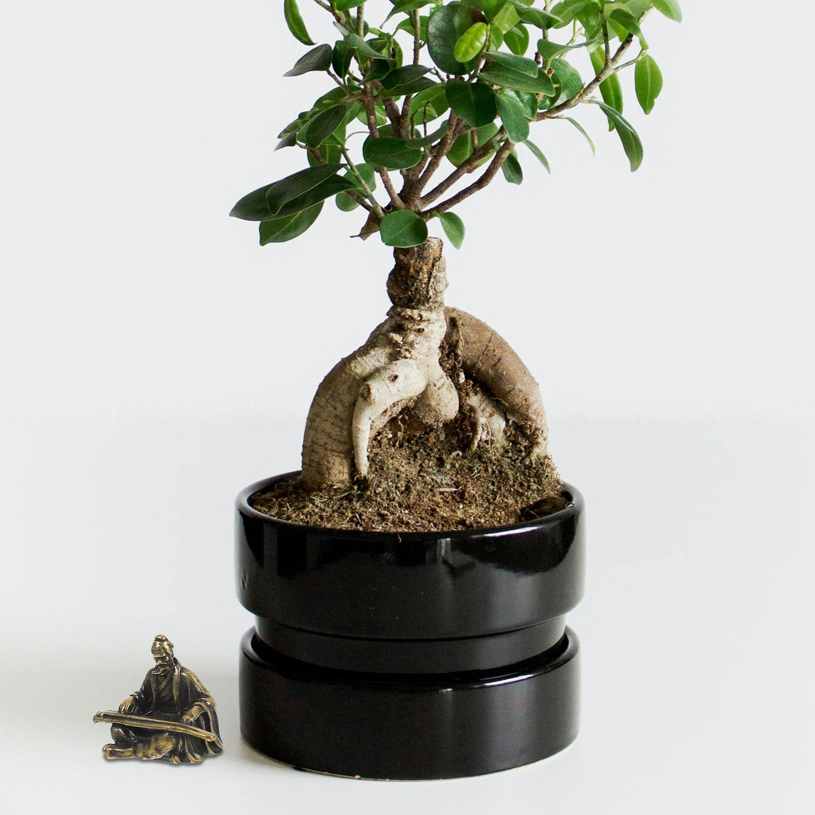 Copper Micro Landscape Ancient - Bonsai Garden Layout review and price