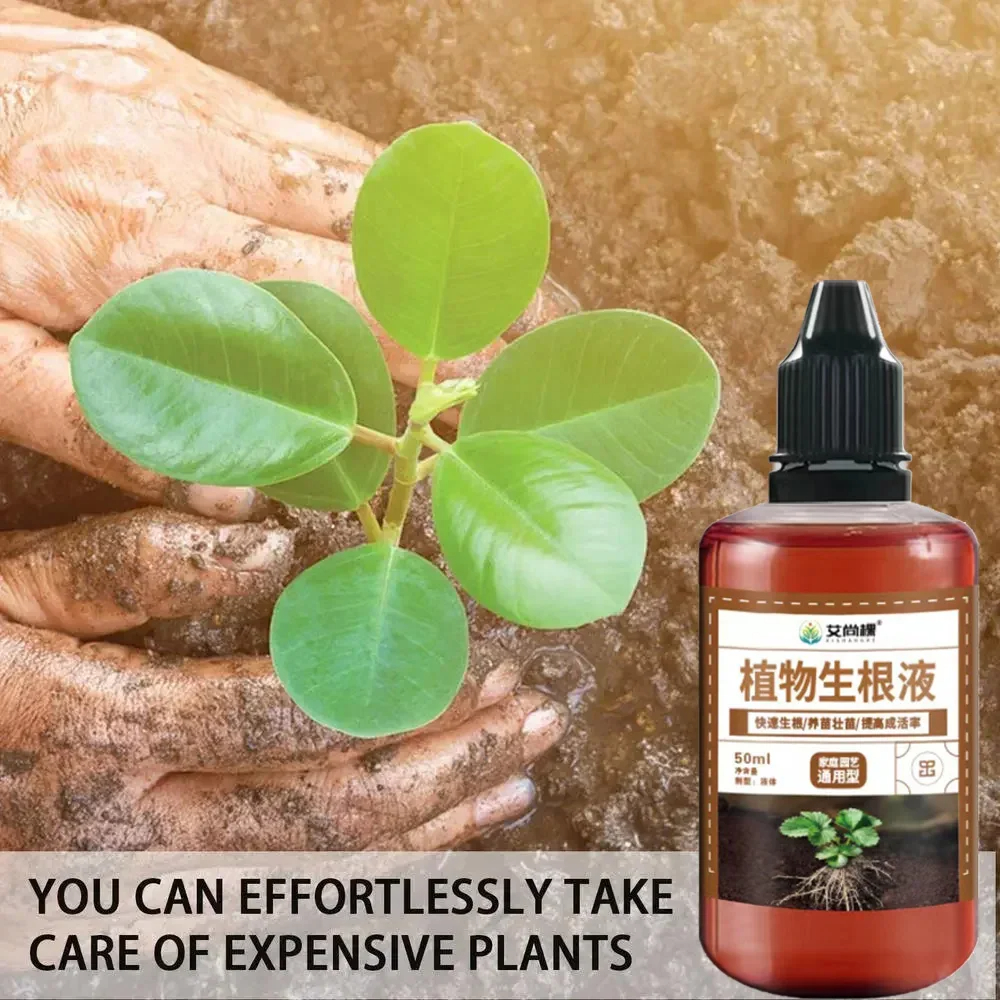 1Pcs Fast Rooting Stimulator P - Bonsai Soil Akadama review and price