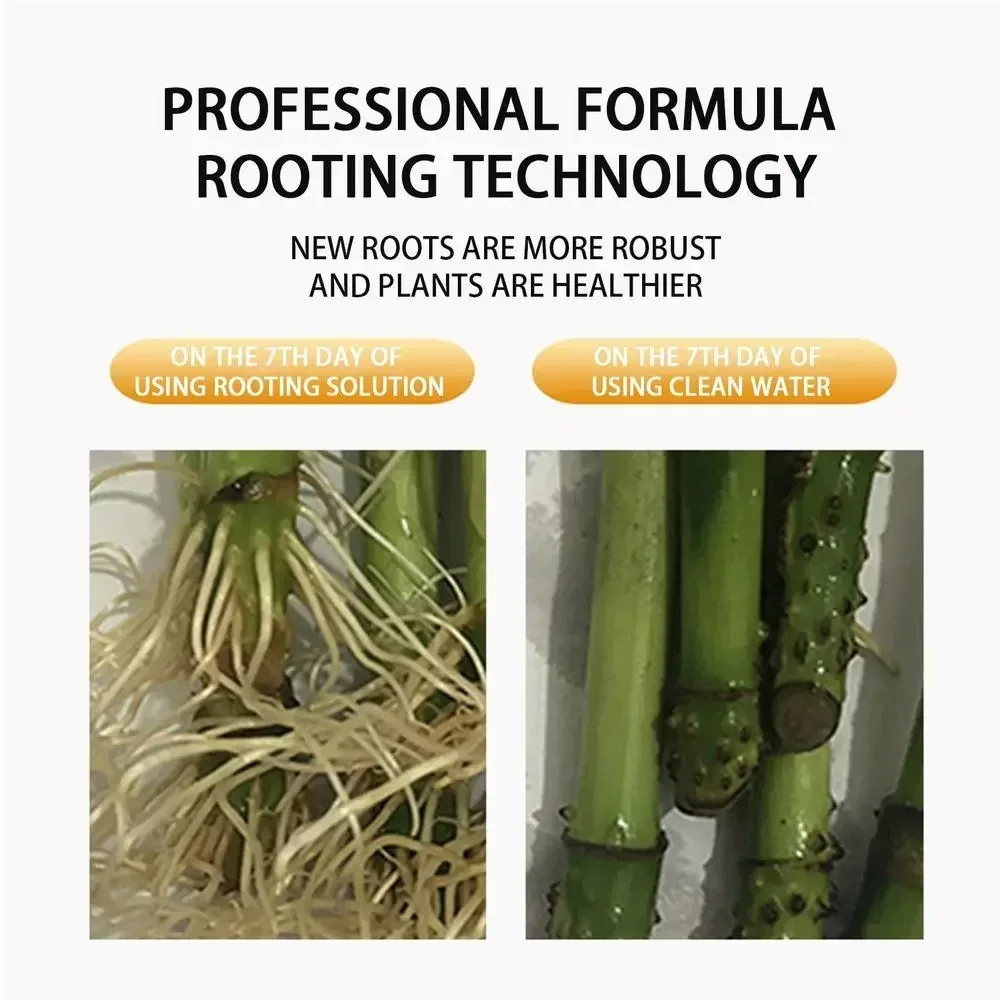 1Pcs Fast Rooting Stimulator P - Bonsai Soil Akadama review and price