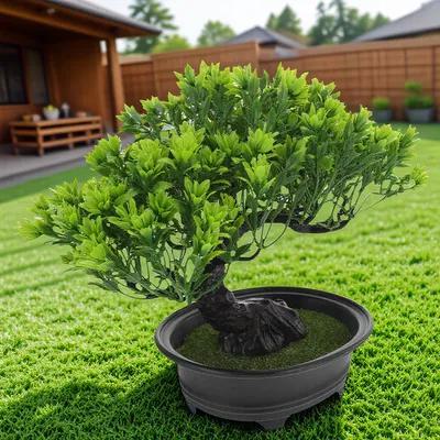 Artificial Bonsai Pine Tree Li - Bonsai Garden Indoor review and price