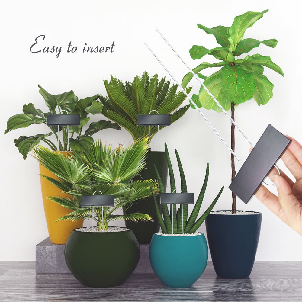 8/15/30/50PCS Weatherproof Lar - Bonsai Garden Indoor review and price