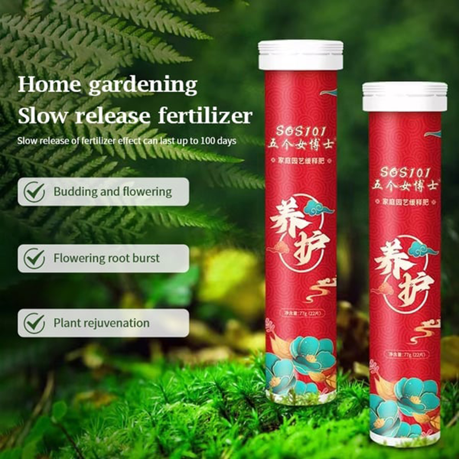77g Long Lasting Potted Bonsai - Bonsai Soil Akadama review and price