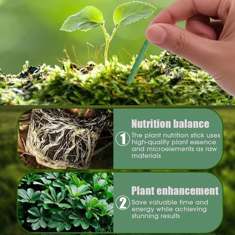 Plant Slow-release Sticks Nutr - Bonsai Soil Akadama review and price