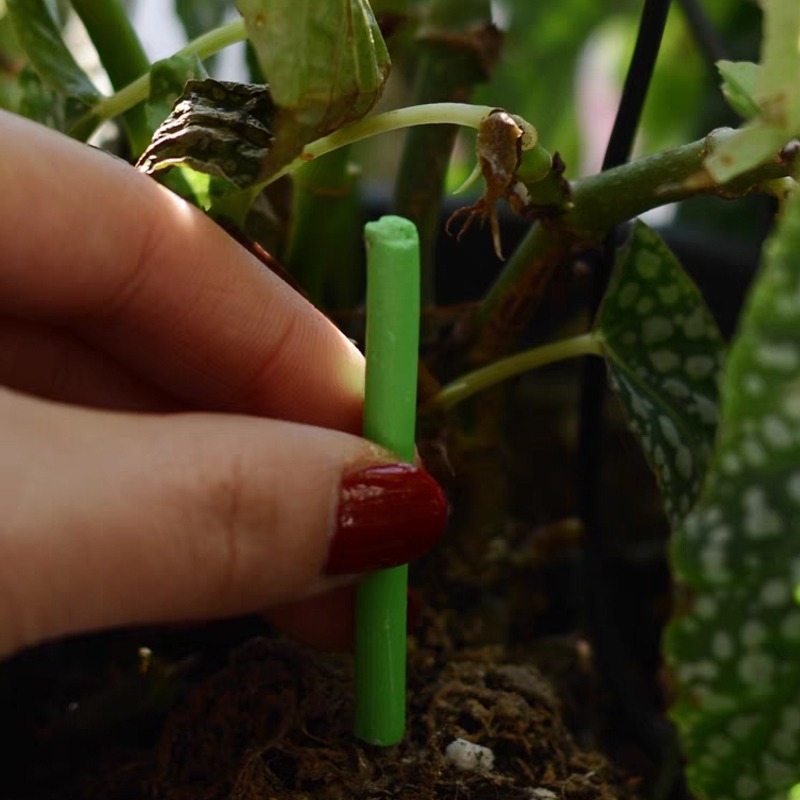 Plant Slow-release Sticks Nutr - Bonsai Soil Akadama review and price